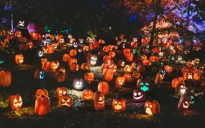 Spooktacular Ways to Give Back: Celebrating Halloween 2026 in Sudbury