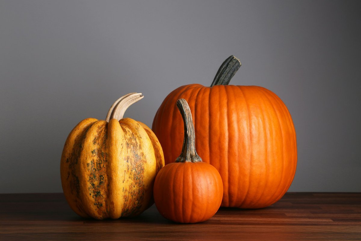 Setting a Wider Table: Meaningful Ways to Give Back This Thanksgiving Across Sudbury