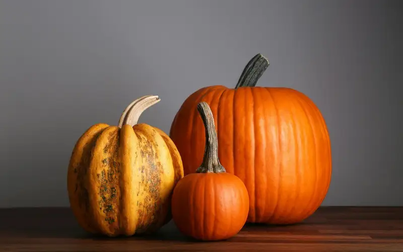 Setting a Wider Table: Meaningful Ways to Give Back This Thanksgiving Across Sudbury