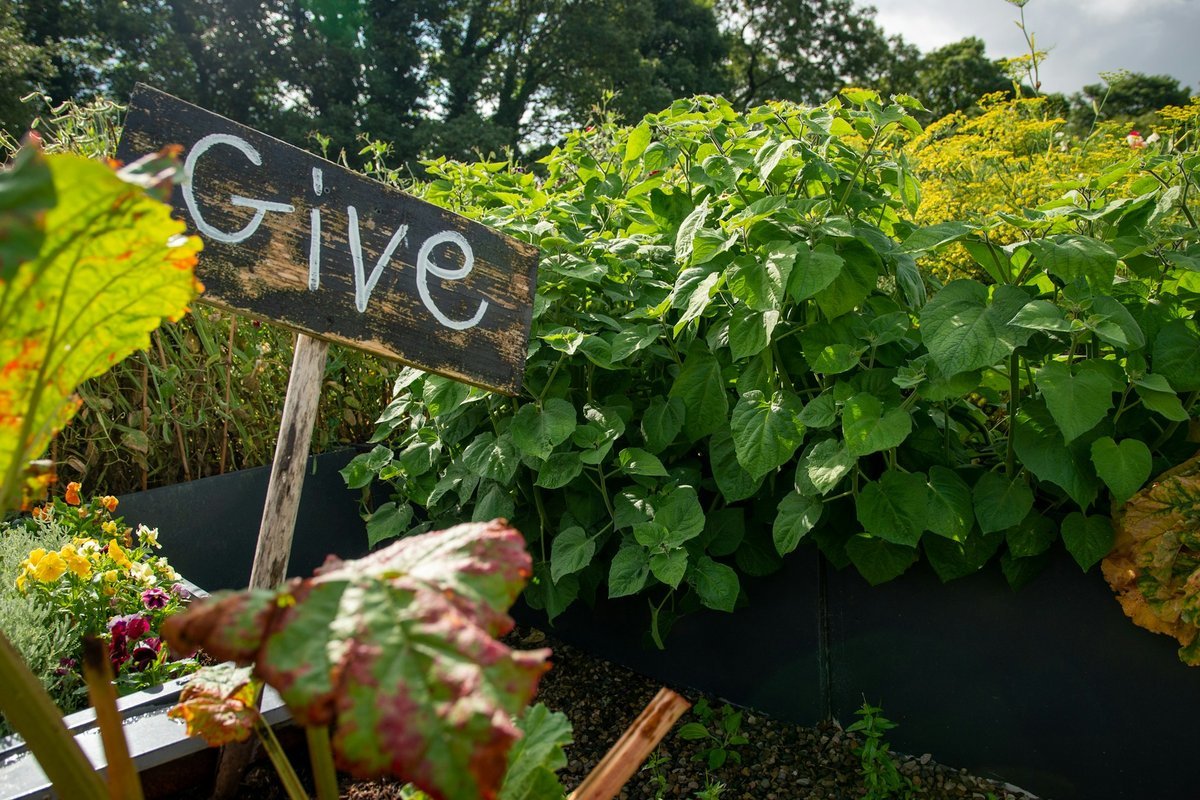 Innovate Today, Nourish Tomorrow: Reimagining Food Security Across Sudbury