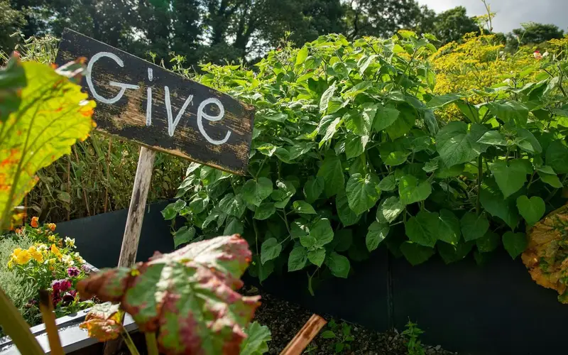 Innovate Today, Nourish Tomorrow: Reimagining Food Security Across Sudbury