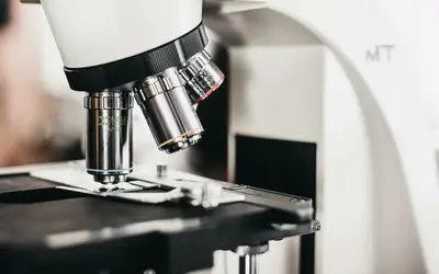 Micro-Volunteering in Sudbury: How to Make a Big Difference in Just Minutes