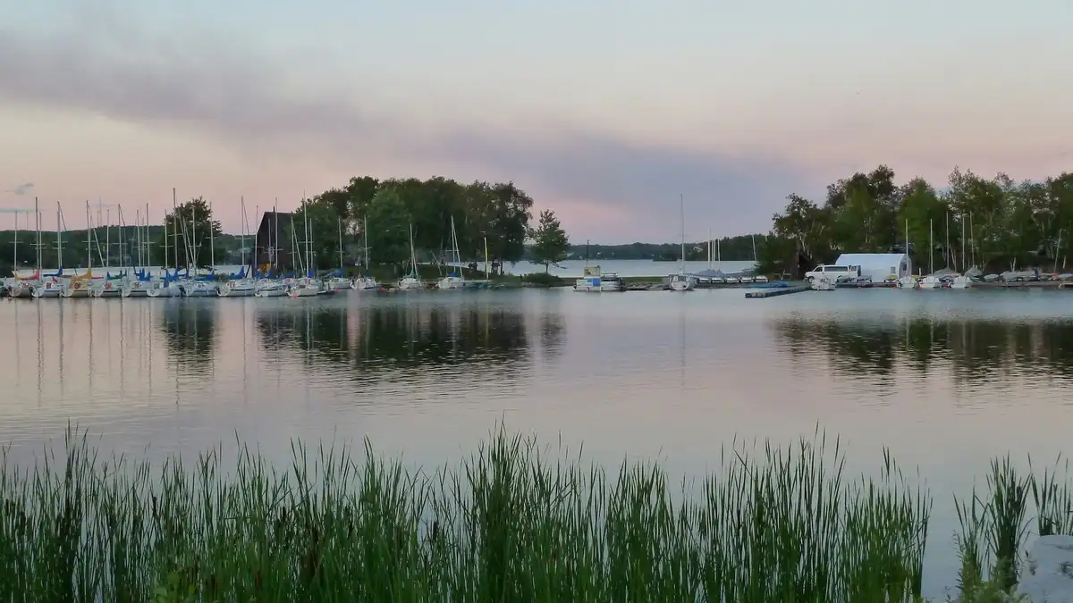 Opportunités de bénévolat à Sudbury